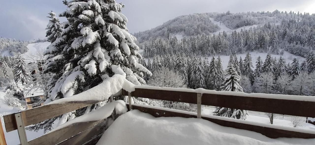 Apartmán Les Oursons Du Hohneck La Bresse Exteriér fotografie